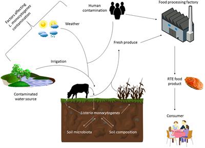 The Role of Stress and Stress Adaptations in Determining the Fate of the Bacterial Pathogen Listeria monocytogenes in the Food Chain